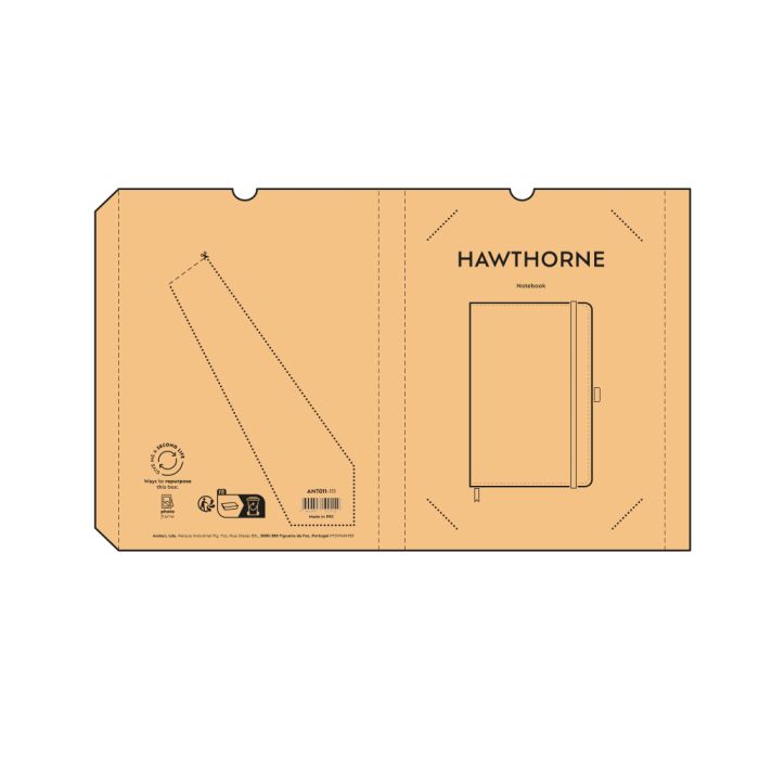 ANT011-box2D ANT011-box2D