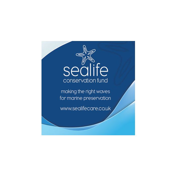 Promotional-Square Fridge Magnet 40mm-Bounce Creative Designs