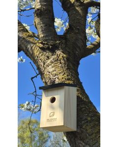 Bird house