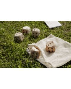 Outdoor dice game