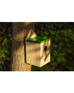 Wooden bird house