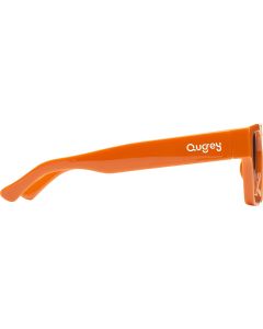 Recycled sunglasses
