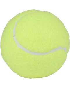 Paddle balls