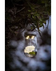 Solar garden light