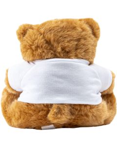 Big Browny bear soft toy