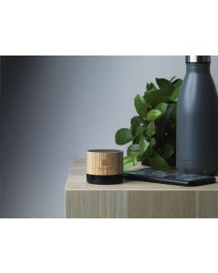 Bamboo speaker