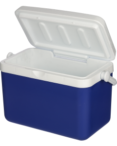 The Sunkissed - Cooler box (4 litre)