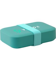 Day to Day lunch box