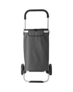 Cooler shopping trolley