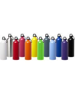 Oregon 750 ml RCS certified single wall stainless steel water bottle with carabiner