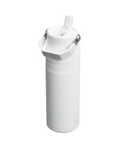 Stanley IceFlow™ 2.0 700 ml Water Bottle with Flip Straw