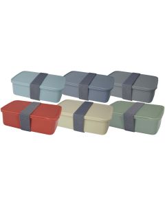 Dovi 800 ml Lunch Box