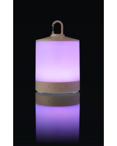 The Araminta - Multi-functional light