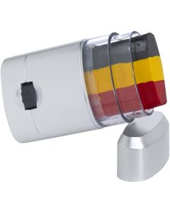 Vibran flag body paint