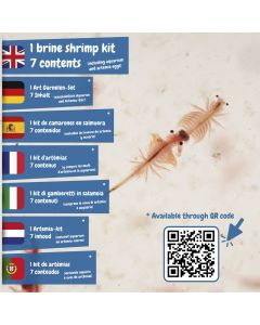 Jurassic Pets Kit I. Educational game for children