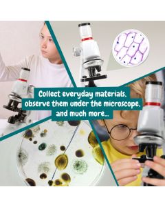 MICROSCOPE. Educational game for children