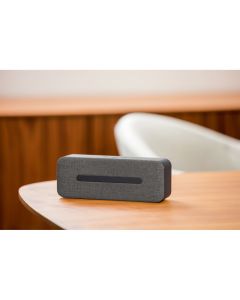 THUNDER. Portable speaker with microphone