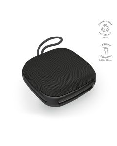 Da Vinci Speaker