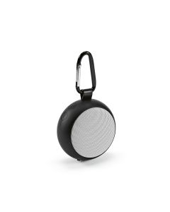 Darwin Speaker
