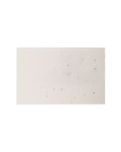 Seed Paper Business Card