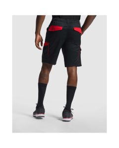 Tahoe 250 g/m2 workwear shorts