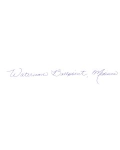 Waterman EXPERT GT pen black