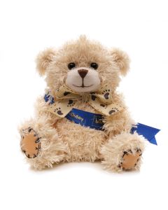 Small Patched Paw Teddy