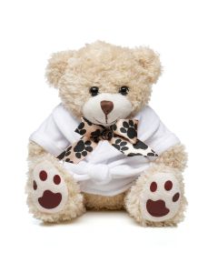Medium Paw Teddy