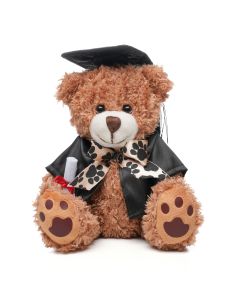 Graduation Style Medium Patched Paw Teddy