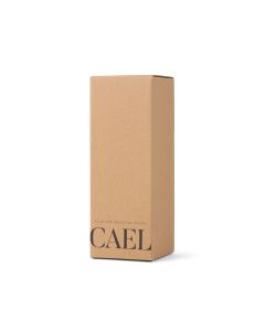 VINGA Cael RCS SS sip bottle 600ML