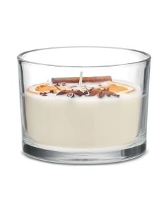 CITRUS Scented Plant Based Wax Candle 300 gr