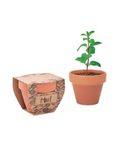 MINT POT Terracotta with Mint Seeds