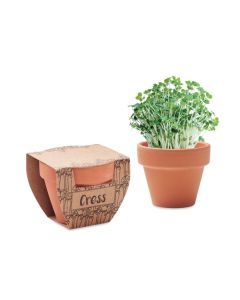 CRESS POT Terracotta Cress Seeds