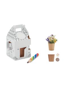 FULLHOUSE House shaped seeds grow set