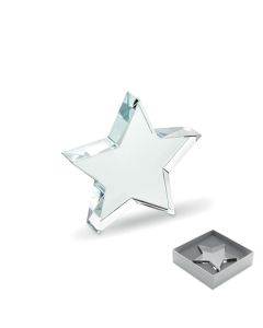 STARWARD Glass Star Award