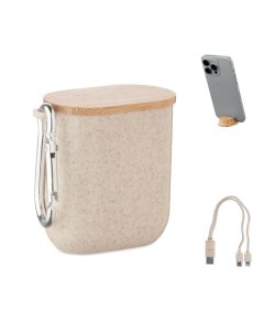 CABSTRA Cable set in case