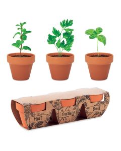 FLOWERPOT Grow Your Own Herbs Gift Set With Terracotta Pots