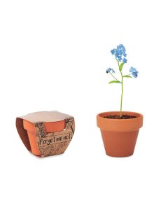 FORGET ME NOT Flower Grow Your Own Kit With Terracotta Pot