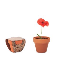 RED POPPY Grow Your Own Kit With Terracotta Pot