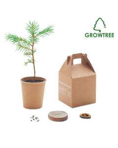 GROWTREE™ Pine Tree Growing Kit