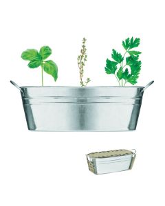 MIX SEEDS Metal Plant Tube With Herb Growing Kit