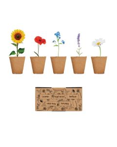 FLOWERS Flowers growing kit