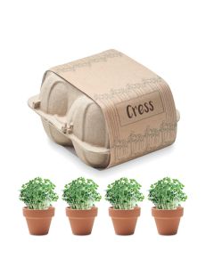 CRESS In Egg Carton Growing Kit