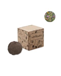 BOMBI Wild Flower Growing Kit In Eco Gift Box