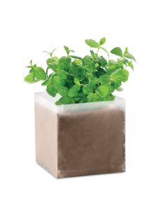 MINT Herb Growing Kit With Grow Bag