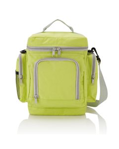 Deluxe travel cooler bag