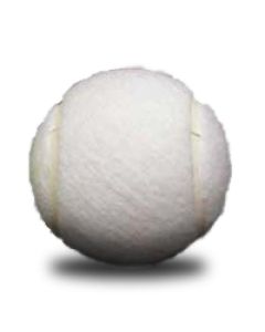 White Tennis Balls