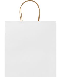 Paper bag (230 x 220 x 90mm)