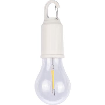 Chargeable lightbulb