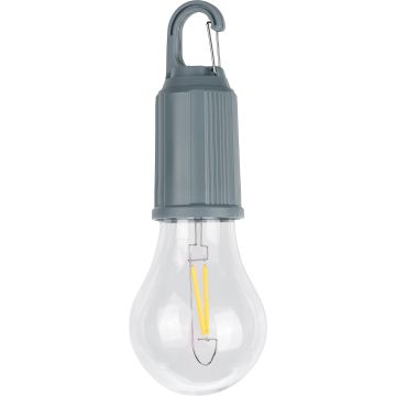 Chargeable lightbulb